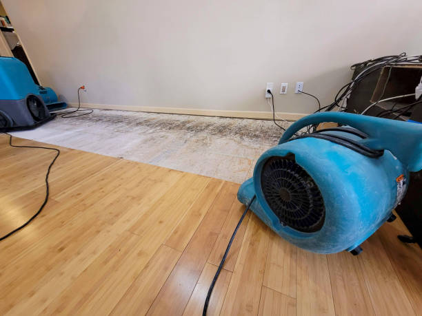 Reliable Basement Flood Cleanup contractor in Woodhaven, MI by Hirex Water Damage