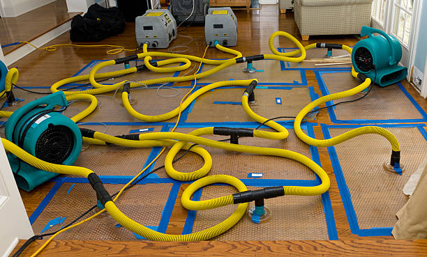 Professional Basement Flood Cleanup technician working in Woodhaven, MI