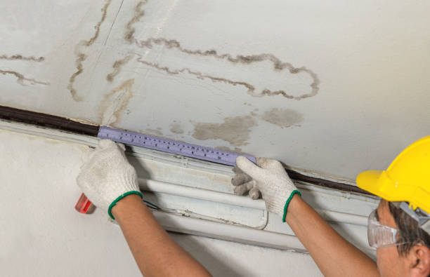 Affordable Basement Flood Cleanup solutions in Woodhaven, MI